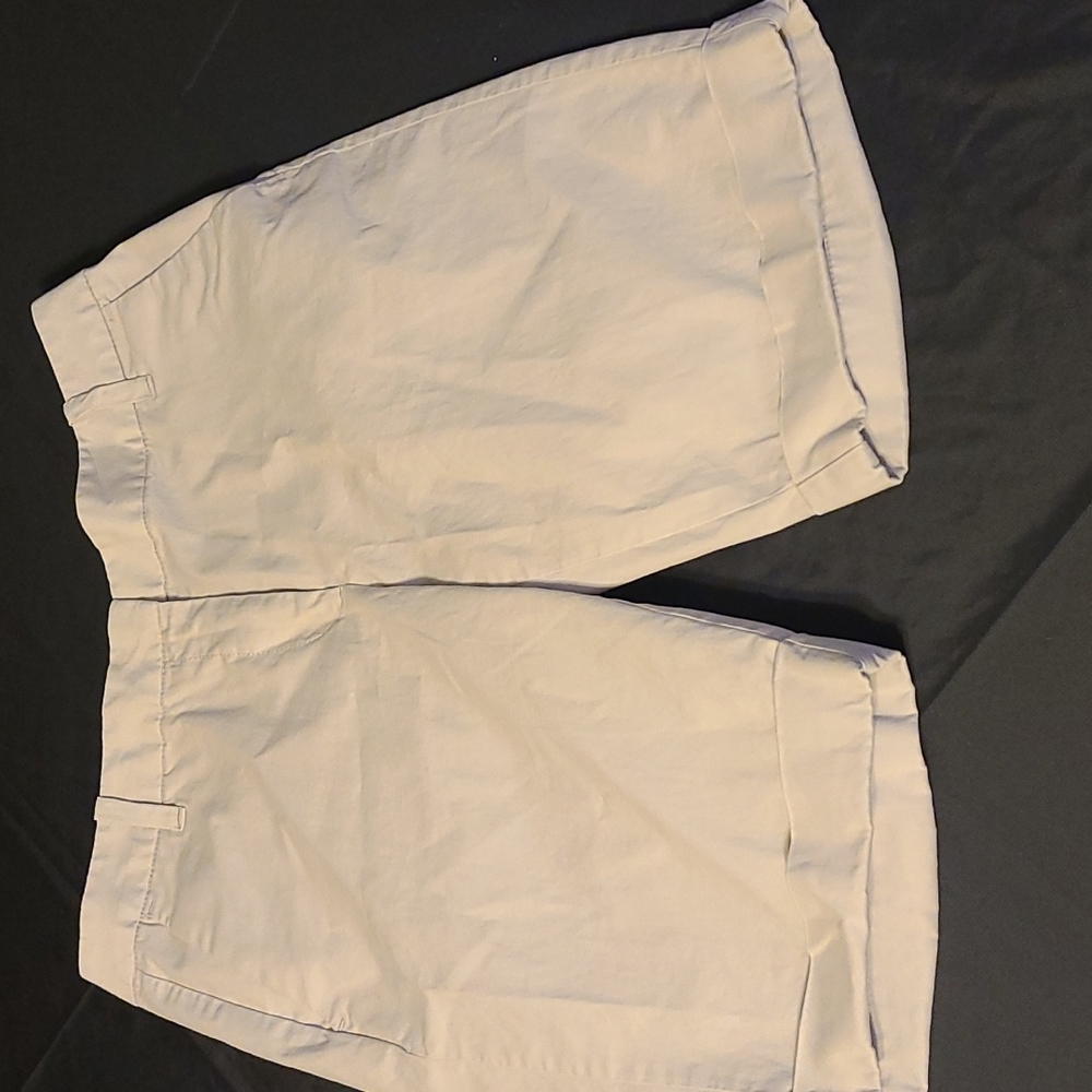 Ann Taylor Khaki Shorts - Curvy 6P - Picture 4 of 5